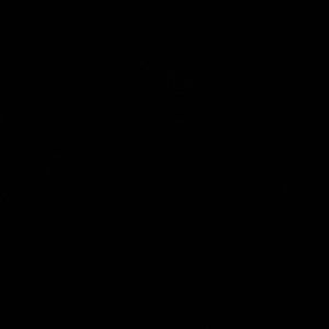 Meet your Posher, Sophie